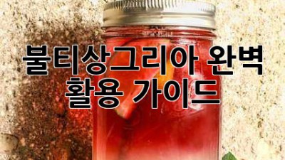 불티상그리아 완벽 활용 가이드